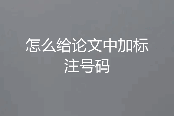 怎么给论文中加标注号码