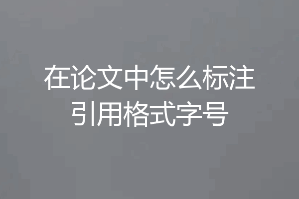 在论文中怎么标注引用格式字号