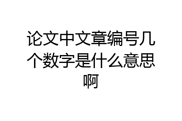 论文中文章编号几个数字是什么意思啊