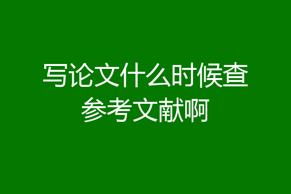 写论文什么时候查参考文献啊