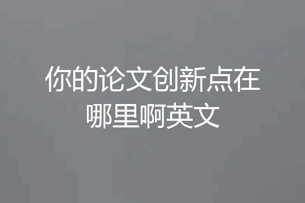 你的论文创新点在哪里啊英文