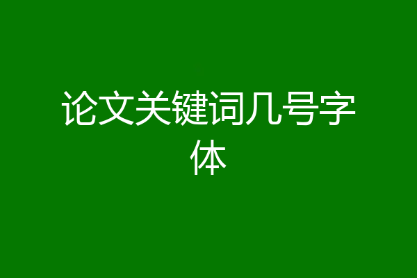 论文关键词几号字体