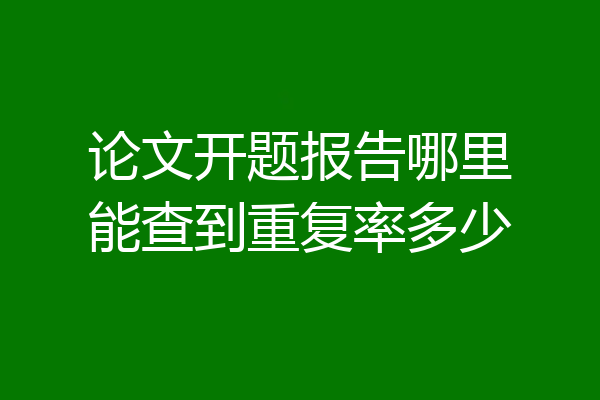 论文开题报告哪里能查到重复率多少