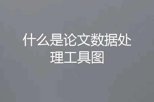 什么是论文数据处理工具图