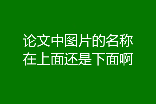 论文中图片的名称在上面还是下面啊