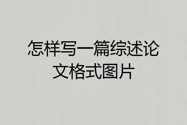 怎样写一篇综述论文格式图片