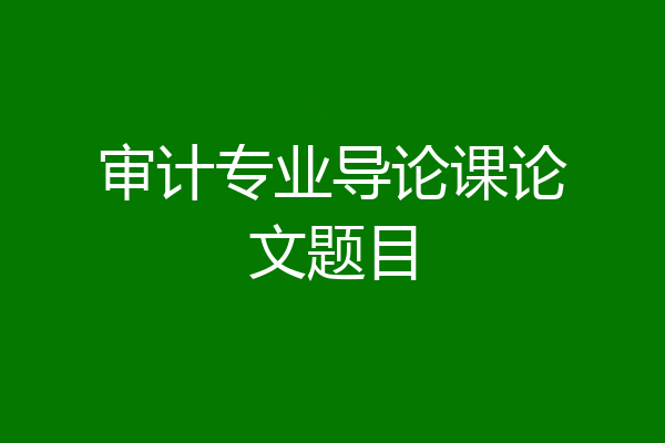 审计专业导论课论文题目