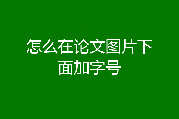 怎么在论文图片下面加字号