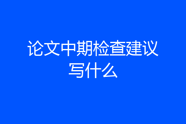 论文中期检查建议写什么