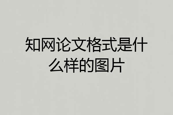 知网论文格式是什么样的图片