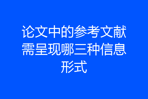论文中的参考文献需呈现哪三种信息形式