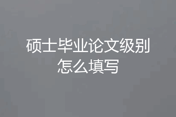 硕士毕业论文级别怎么填写