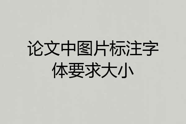 论文中图片标注字体要求大小