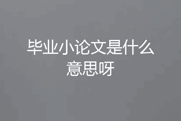 毕业小论文是什么意思呀
