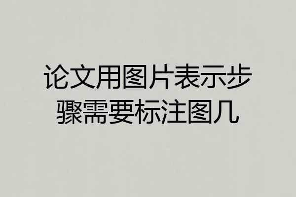 论文用图片表示步骤需要标注图几