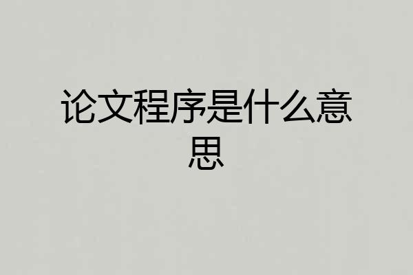 论文程序是什么意思