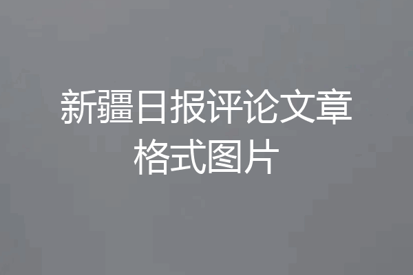 新疆日报评论文章格式图片