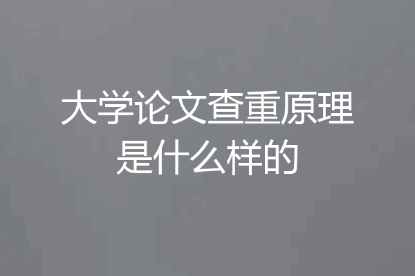 大学论文查重原理是什么样的