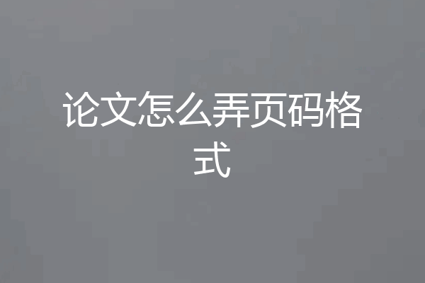 论文怎么弄页码格式