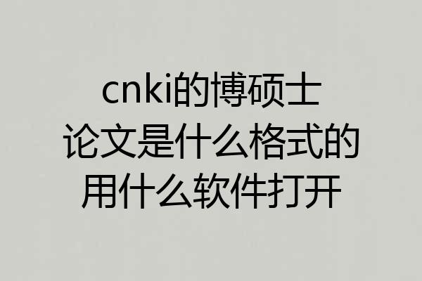 cnki的博硕士论文是什么格式的用什么软件打开