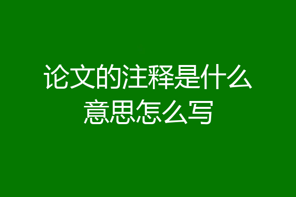论文的注释是什么意思怎么写