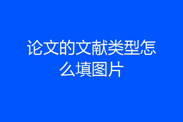 论文的文献类型怎么填图片