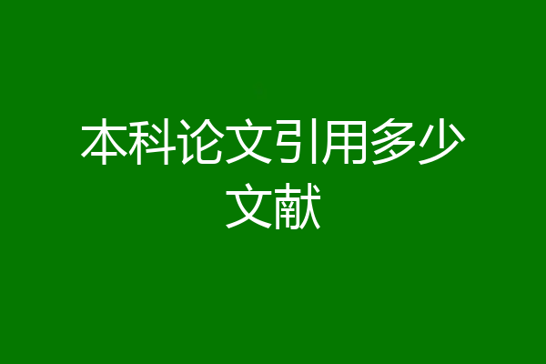 本科论文引用多少文献