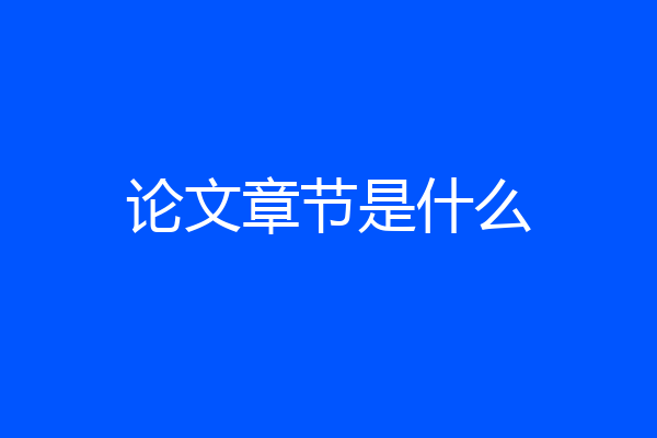 论文章节是什么