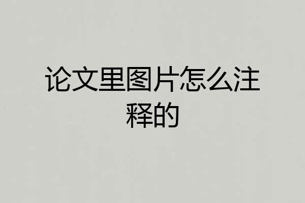 论文里图片怎么注释的
