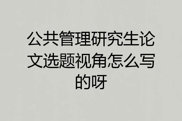 公共管理研究生论文选题视角怎么写的呀