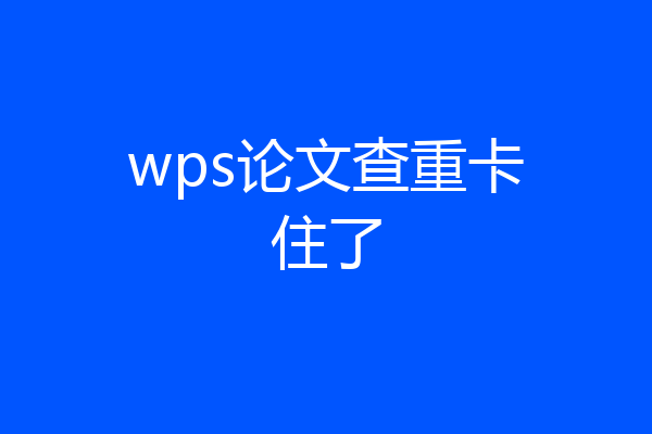 wps论文查重卡住了