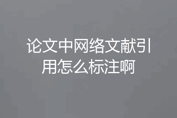 论文中网络文献引用怎么标注啊