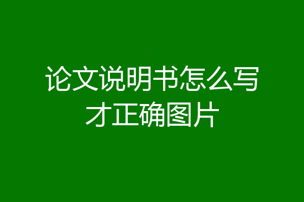 论文说明书怎么写才正确图片