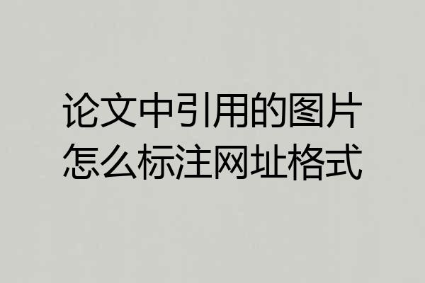 论文中引用的图片怎么标注网址格式