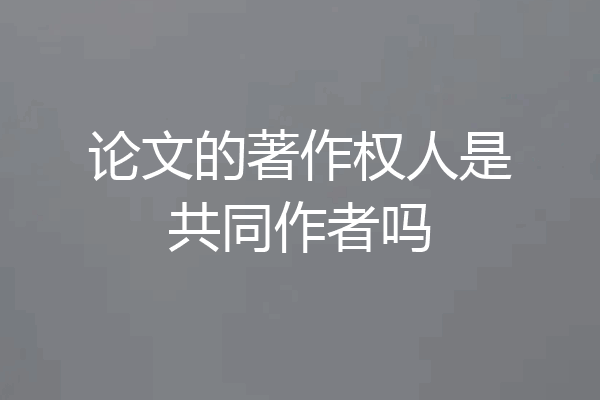 论文的著作权人是共同作者吗