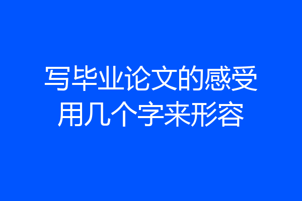 写毕业论文的感受用几个字来形容