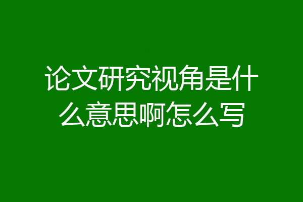 论文研究视角是什么意思啊怎么写