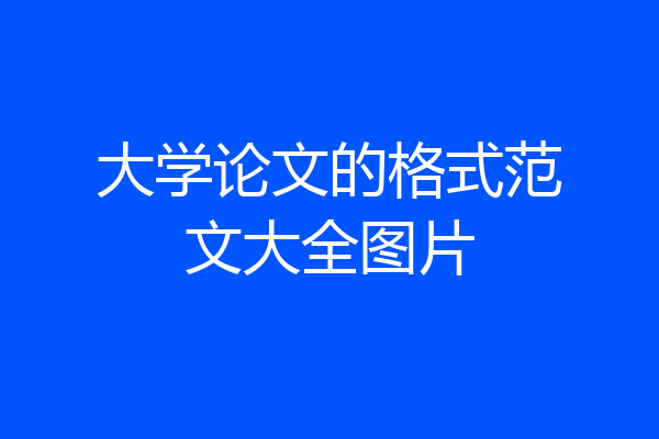 大学论文的格式范文大全图片