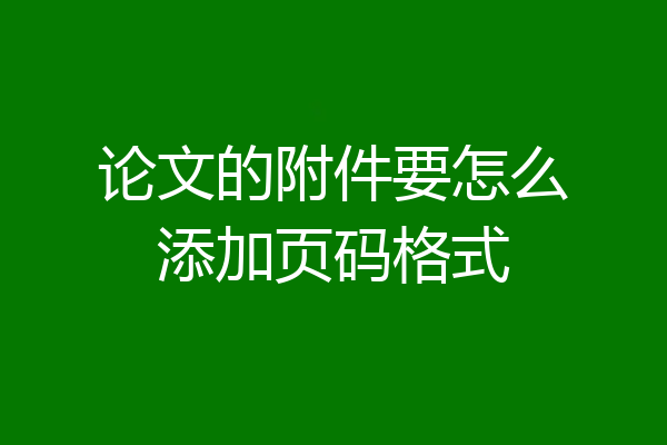 论文的附件要怎么添加页码格式
