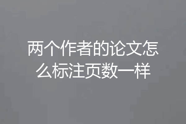 两个作者的论文怎么标注页数一样