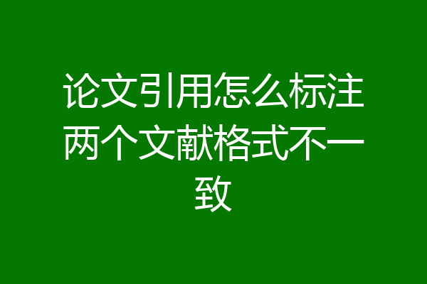 论文引用怎么标注两个文献格式不一致