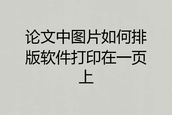 论文中图片如何排版软件打印在一页上
