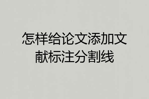 怎样给论文添加文献标注分割线