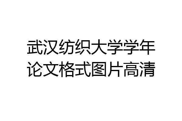 武汉纺织大学学年论文格式图片高清