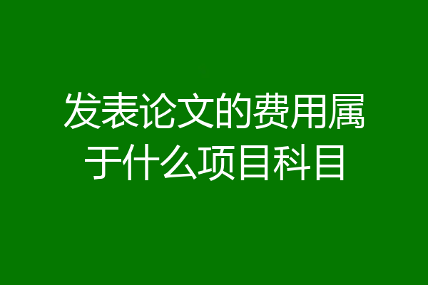 发表论文的费用属于什么项目科目