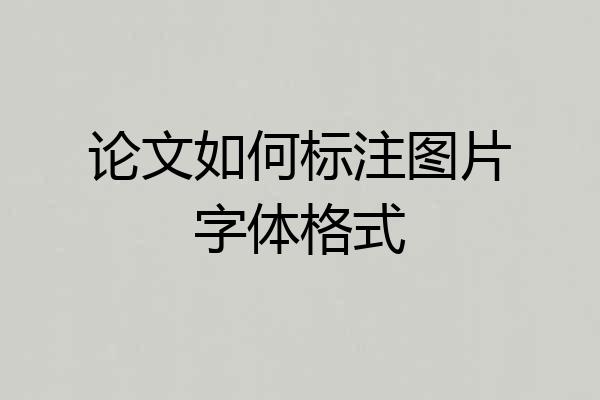 论文如何标注图片字体格式