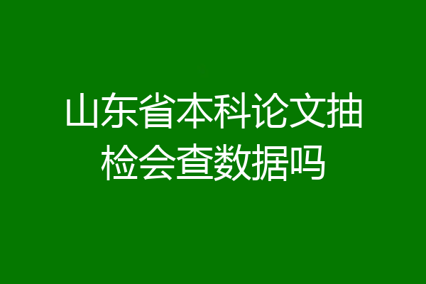 山东省本科论文抽检会查数据吗