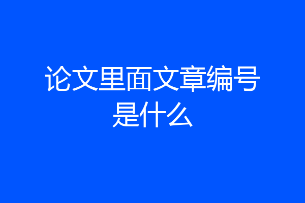 论文里面文章编号是什么