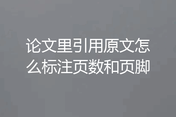 论文里引用原文怎么标注页数和页脚