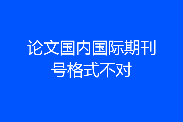 论文国内国际期刊号格式不对